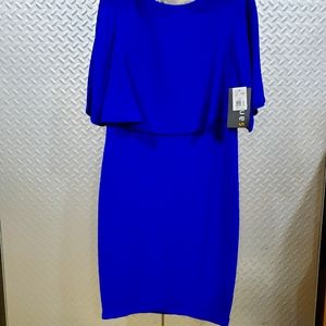 NWT SANGRIA cobalt blue dress with stunning overlay (10)